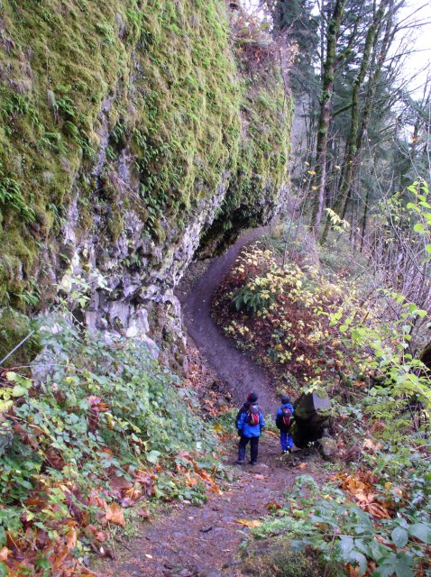 Waukeena Mult Falls 11.26.05 005 